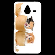 Coque Personnalisée Nokia Lumia 640XL LTE Chaton dans des coquilles d'oeuf