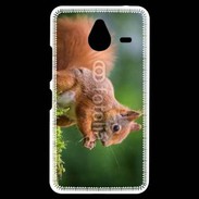Coque Personnalisée Nokia Lumia 640XL LTE Ecureuil avec des noisettes