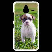 Coque Personnalisée Nokia Lumia 640XL LTE Chiot American Staffordshire terrier 