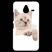 Coque Personnalisée Nokia Lumia 640XL LTE Petit chaton en portrait