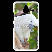 Coque Personnalisée Nokia Lumia 640XL LTE Oiseau Cacatoès blanc 25