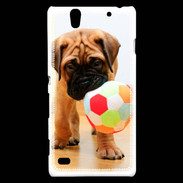 Coque Sony Xperia C4 Bull mastiff chiot