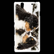 Coque Sony Xperia C4 Chiot Saint Bernard