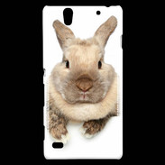 Coque Sony Xperia C4 Portrait de lapin