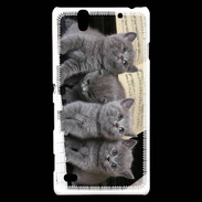 Coque Sony Xperia C4 Chatons musiciens