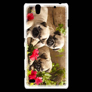 Coque Sony Xperia C4 Trio de chiots Carlin