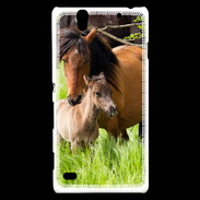 Coque Sony Xperia C4 Cheval et poulain