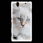 Coque Sony Xperia C4 Chaton aux yeux bleus