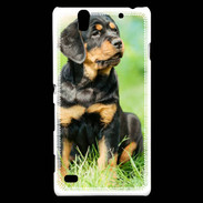 Coque Sony Xperia C4 Chiot Rottweiler 1