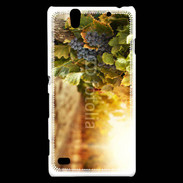 Coque Sony Xperia C4 Pied de vigne en automne