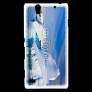Coque Sony Xperia C4 iceberg