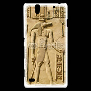 Coque Sony Xperia C4 Temple de Kom Ombo