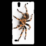 Coque Sony Xperia C4 Araignée tarentule
