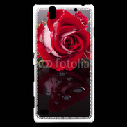 Coque Sony Xperia C4 Belle rose Rouge 10