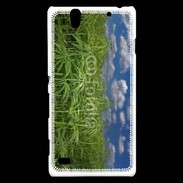 Coque Sony Xperia C4 Champs de cannabis