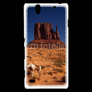 Coque Sony Xperia C4 Monument Valley USA