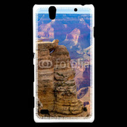 Coque Sony Xperia C4 Grand Canyon Arizona
