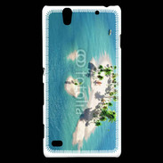 Coque Sony Xperia C4 Atole