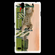 Coque Sony Xperia C4 Agility Golden retriever