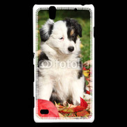 Coque Sony Xperia C4 Adorable chiot Border collie