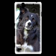 Coque Sony Xperia C4 Border collie 500