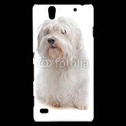 Coque Sony Xperia C4 Bichon Maltais 600