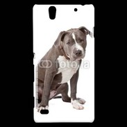 Coque Sony Xperia C4 American staffordshire bull terrier