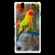 Coque Sony Xperia C4 Aratinga Solstitialis