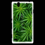 Coque Sony Xperia C4 Feuilles de marijuana