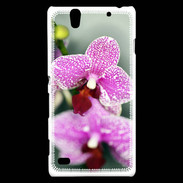 Coque Sony Xperia C4 Belle Orchidée PR 50