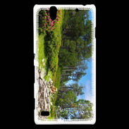 Coque Sony Xperia C4 DP Rivière en montagne