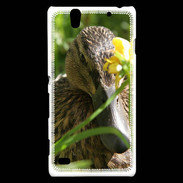 Coque Sony Xperia C4 Canard sauvage PB 1