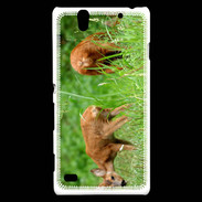 Coque Sony Xperia C4 Chevreuil PB 1