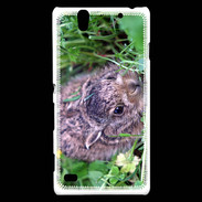 Coque Sony Xperia C4 Lapin sauvage PB 1