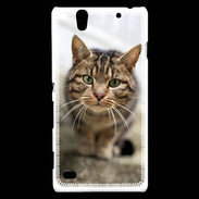 Coque Sony Xperia C4 Portrait de chat PR