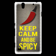 Coque Sony Xperia C4 Keep Calm and Be Spicy Gris
