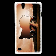 Coque Sony Xperia C4 Guyane 973