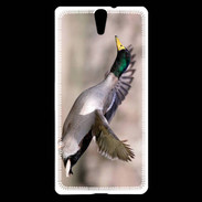Coque Sony Xperia C5 Canard Colvert 2