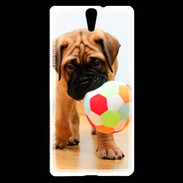 Coque Sony Xperia C5 Bull mastiff chiot