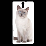 Coque Sony Xperia C5 Chat siamois 25