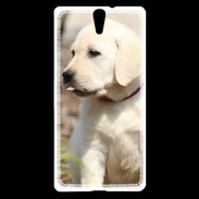 Coque Sony Xperia C5 Adorable labrador