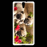 Coque Sony Xperia C5 Trio de chiots Carlin