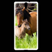 Coque Sony Xperia C5 Cheval et poulain