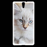 Coque Sony Xperia C5 Chaton aux yeux bleus