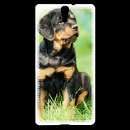Coque Sony Xperia C5 Chiot Rottweiler 1