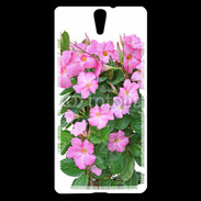 Coque Sony Xperia C5 Fleurs Dipladénia