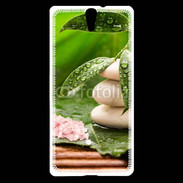 Coque Sony Xperia C5 Galet et feuilles mouillées
