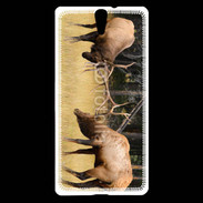 Coque Sony Xperia C5 Combat de cerf
