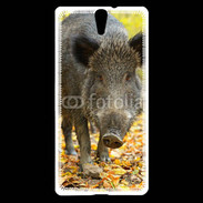 Coque Sony Xperia C5 Sanglier de face 50