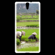 Coque Sony Xperia C5 Rizière au Vietnam